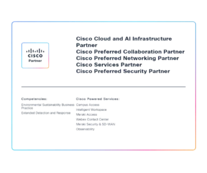 Cisco Partner Statuses